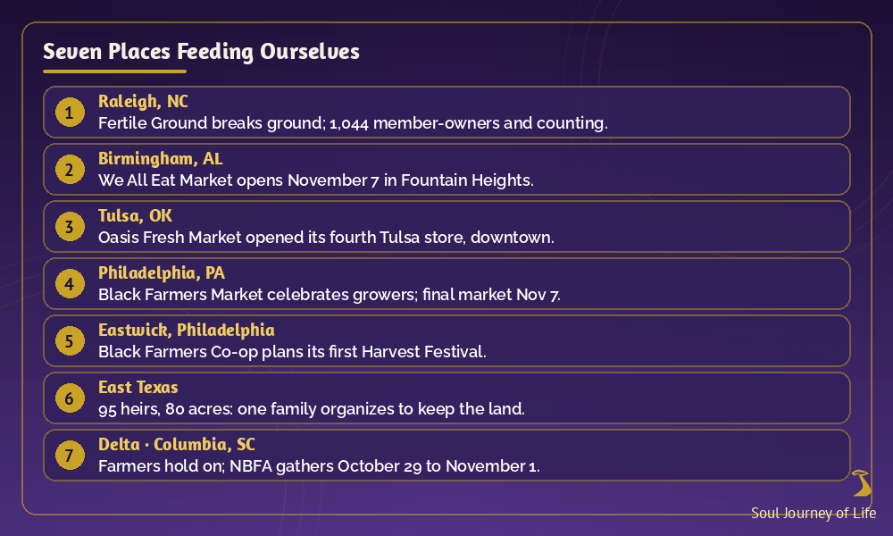 Seven places feeding ourselves: Raleigh, Birmingham, Tulsa, Philadelphia, East Texas, the Mississippi Delta and Columbia