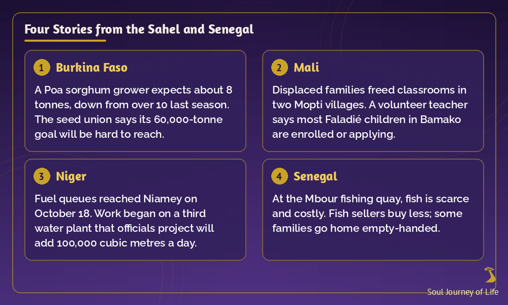 Four stories from the Sahel and Senegal: a Poa sorghum grower expects a smaller harvest; displaced families freed Mopti classrooms and a volunteer teacher says most Faladié children in Bamako are enrolled or applying; fuel queues in Niamey and a planned new water plant; scarce, costly fish at the Mbour quay