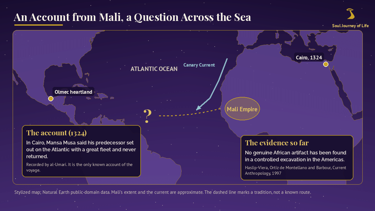 Stylized night-sky violet map of the Atlantic showing the Mali Empire in West Africa, Cairo in 1324, the Canary Current, a dashed gold line heading west from the African coast that ends in a question mark, and the Olmec heartland on the Gulf Coast of Mexico, with two gold-bordered boxes: the 1324 account recorded by al-Umari, and the evidence so far